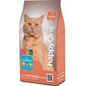 „Hrană uscată HappyOne Cat Salmon 10 kg pentru pisici adulte – formulă cu somon pentru sănătate și blană strălucitoare.”