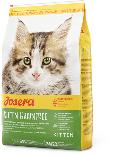 „Hrană uscată fără cereale Josera Kitten Grainfree pentru pisoi – formulă bogată în proteine pentru creștere sănătoasă și digestie ușoară.”
